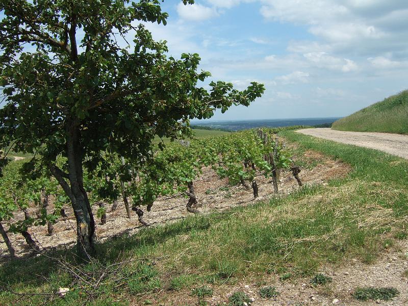 2010-05- (130).JPG